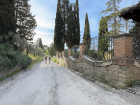 Dirt hiking trail through Tuscan countryside