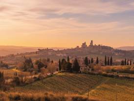Golden sunset over vineyard hills near San Gimignano with towers silhouetted