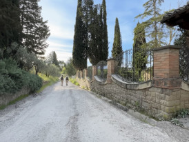 Dirt hiking trail through Tuscan countryside