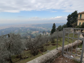 View of Florence from Fiesole with a few olive trees