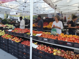 Colorful assortment of fresh heirloom tomatoes at the Trout Lake market