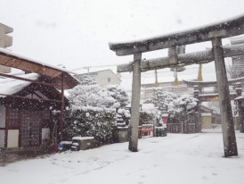 Ebisu Shrine in Kyoto under falling snow, with torii gate and temple buildings