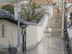 Stone slope pathway on Uemachi Plateau lined with traditional houses