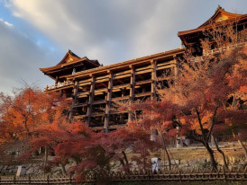 Kiyomizu-dera temple in Kyoto, with its wooden hall rising above autumn maple trees