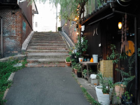 Plants lining a steep stone staircase in a narrow Japanese lane