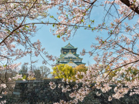 Osaka Castle surrounded by cherry blossoms