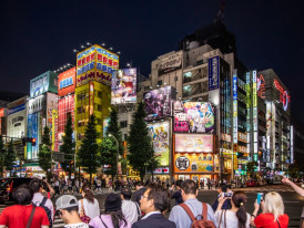 Neon-lit Akihabara street with electronics and anime shops at night