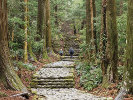 Stone steps on the Kumano Kōdō pilgrimage trail through a cedar forest on the Kii Peninsula