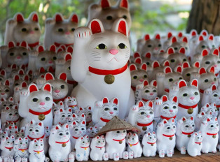 Gotokuji Temple: The Birthplace of the Lucky Cat