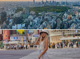 Tokyo Metropolitan Government Building: A View from the