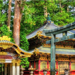 Day Trips From Tokyo: Local Picks For A Great Day Out