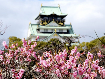 Things to do in Osaka During the Rugby World Cup 2019