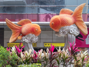 Unusual Things To Do In Hong Kong That Are Not In Your