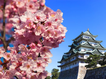 10 Hidden Gems In Nagoya