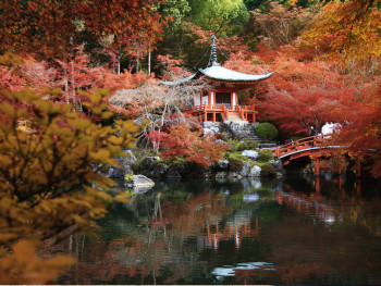 What To Do In Kyoto This Fall - Things To Do In Septemb