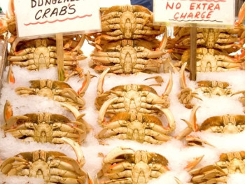 Must Eat Foods In San Francisco And Where To Eat Them