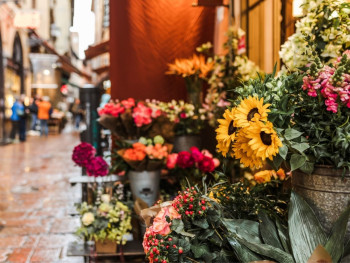 Things To Do In Spring In Bologna