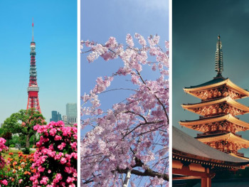 3 days in Tokyo: from famous hotspots to local secrets