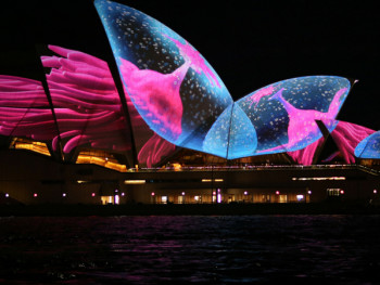 Vivid Festival Vivid Festival