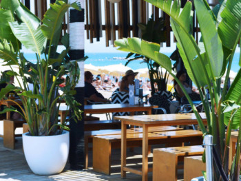 Breakfast with a View Breakfast with a View