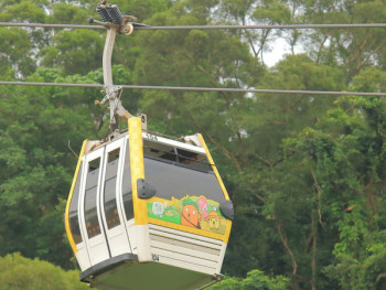 City Unscripted article image City Unscripted article image
