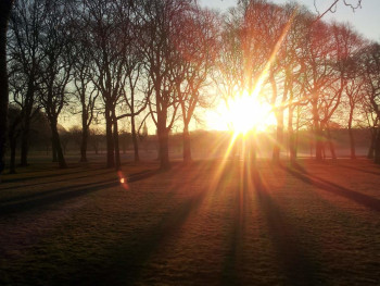 The Meadows The Meadows