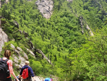 Things to do in spring Things to do in spring