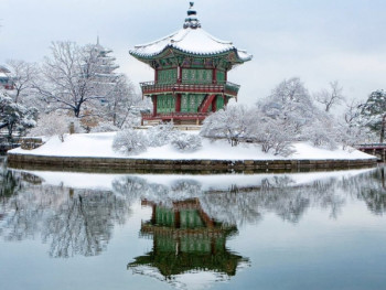 What to expect in winter What to expect in winter