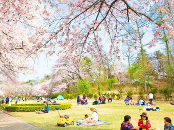 So when is the best time to visit Seoul? So when is the best time to visit Seoul?