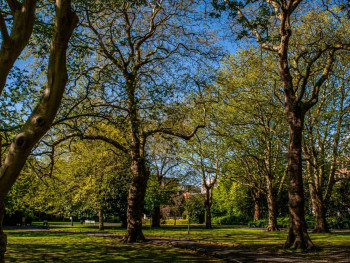 St Stephen’s Green St Stephen’s Green