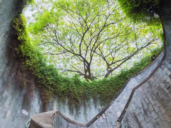 Fort Canning Park Fort Canning Park