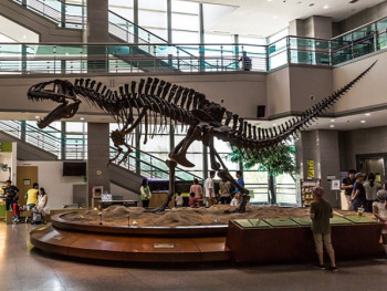 The Seodaemun Museum of Natural History The Seodaemun Museum of Natural History