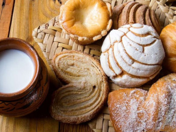 Conchas Conchas