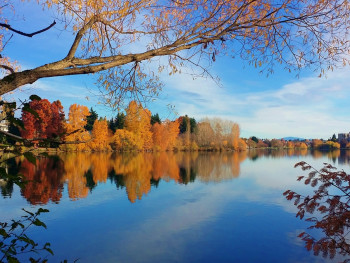 Green Lake Green Lake
