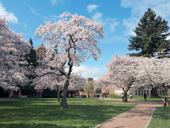 The University of Washington The University of Washington