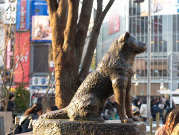 City Unscripted article image City Unscripted article image