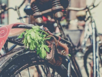 Explore The Island By Bicycle Explore The Island By Bicycle