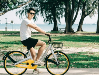 Cycle Cycle