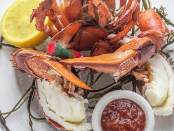 Lobster Lobster