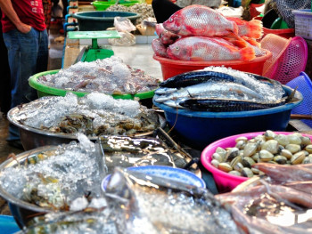 Fischmarkt Fischmarkt