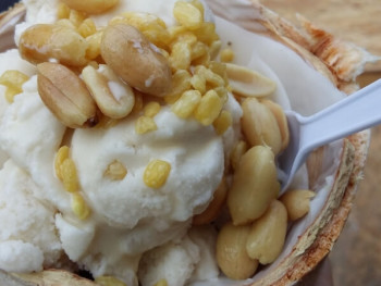 Coconut Ice Cream Coconut Ice Cream