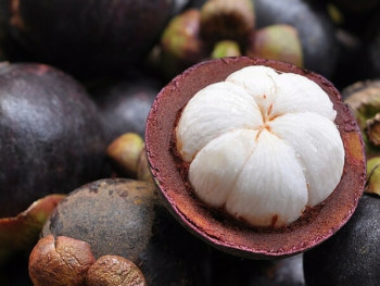 Mangosteens Mangosteens