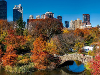 Have A Picnic In Central Park Have A Picnic In Central Park