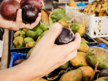 Experience A Food Market Experience A Food Market