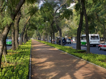 Stroll down Reforma Avenue Stroll down Reforma Avenue