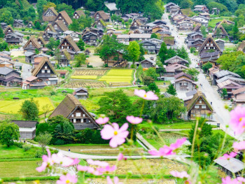 Gifu Gifu