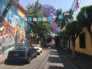 Coyoacán Coyoacán