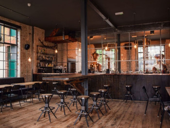 Drink London Dry Gin and Whiskey Drink London Dry Gin and Whiskey