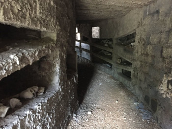 The catacombs The catacombs