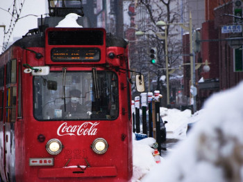 Trams are the most popular way to get around the city Trams are the most popular way to get around the city
